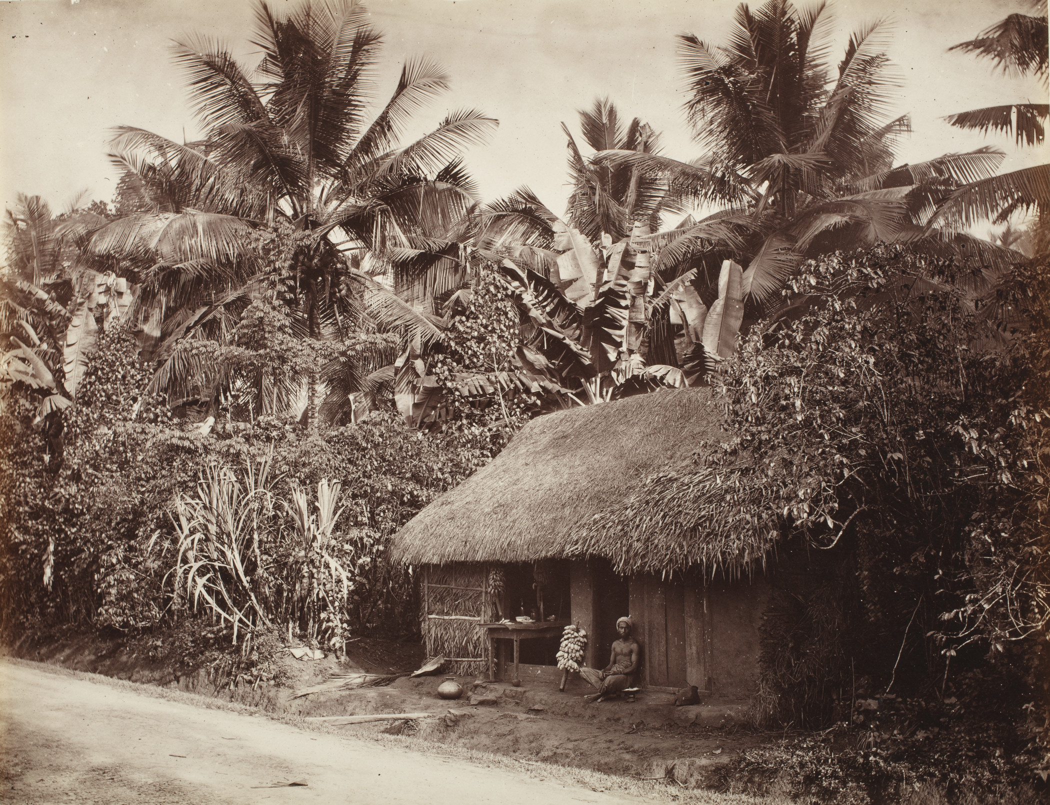 A Villager Selling Plantains, Sri Lanka, c. 1890, Los Angeles County Museum of Art, gift of Gloria Katz and Willard Huyck, photo © Museum Associates/LACMA