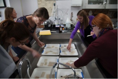 Workshop participants placing various paper samples into multiple aqueous cleaning solutions