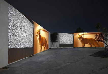 Doug Aitken, "migration," single channel video, installation view: Regen Projects II, 2009