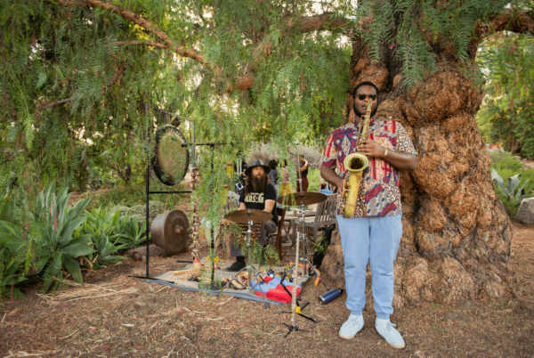 Musicians in the woods