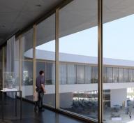 Rendering of gallery with an adult and child looking out floor-to-ceiling windows